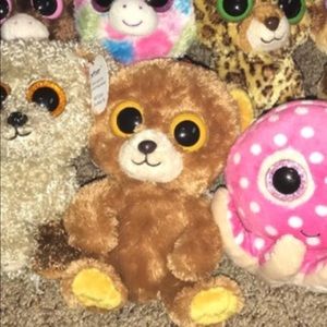 root beer beanie boo